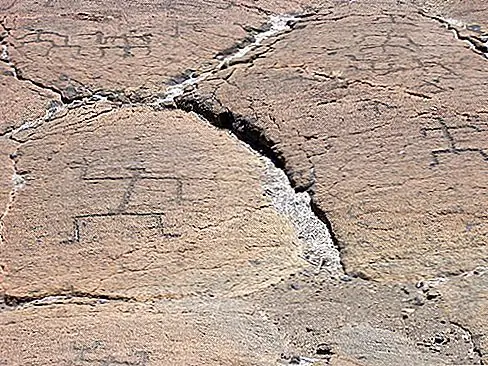 Puako Petroglyphs, Holoholokai Beach Park, Гавайи