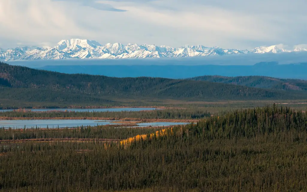 tetlin-национально-дикая природа убежище, Alaska-ALASKAHWY0617