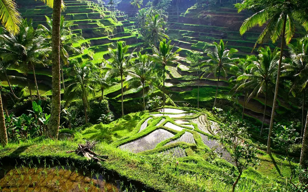 бали-Ubud-GOASIAJAN0118