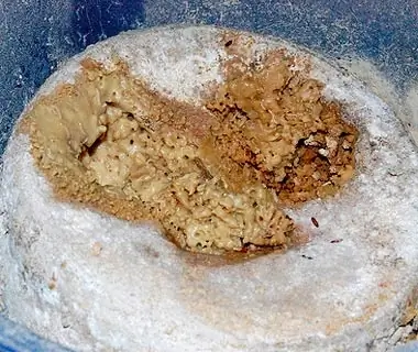 Casu Marzu, Sardinia