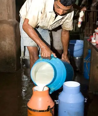 Unpasteurized Milk, Europe and Asia
