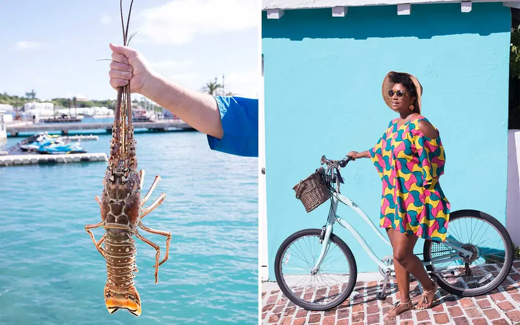 колючий-лобстер-Kristin-бело-BERMUDA0418