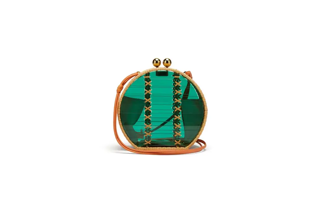 Вай-вай-жаботикаба-Ацетат-Bag-BRAZILWEAR0719