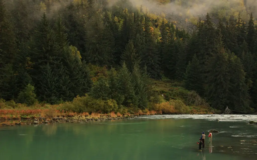 рыболовецкий Хейнс-юго-Юкон-YUKON0818