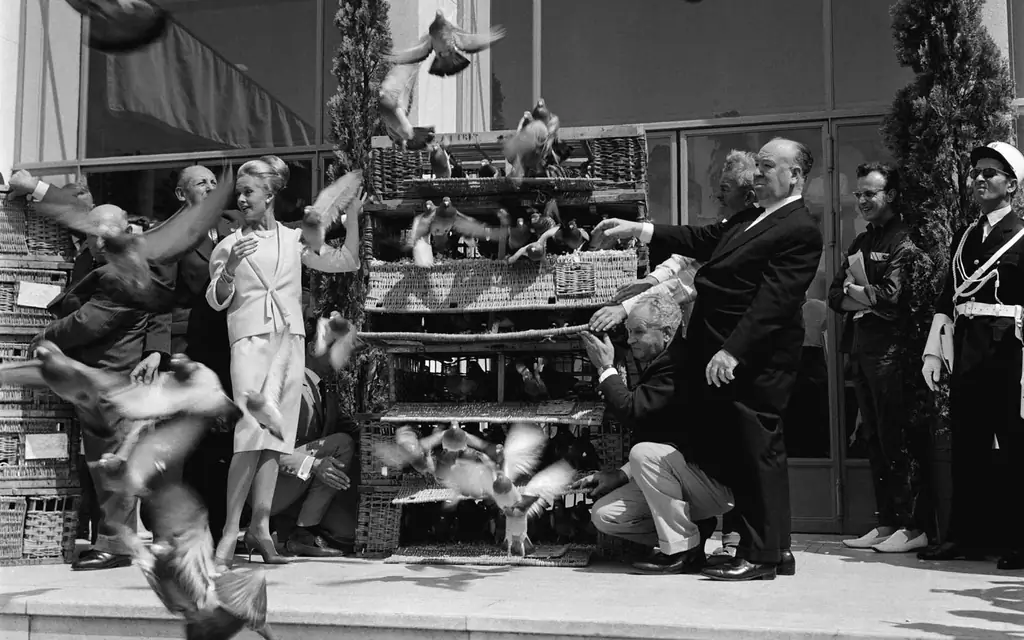 Tippi-Хедрен-Alfred-Хичкок-1963-VINTAGECANNES0517