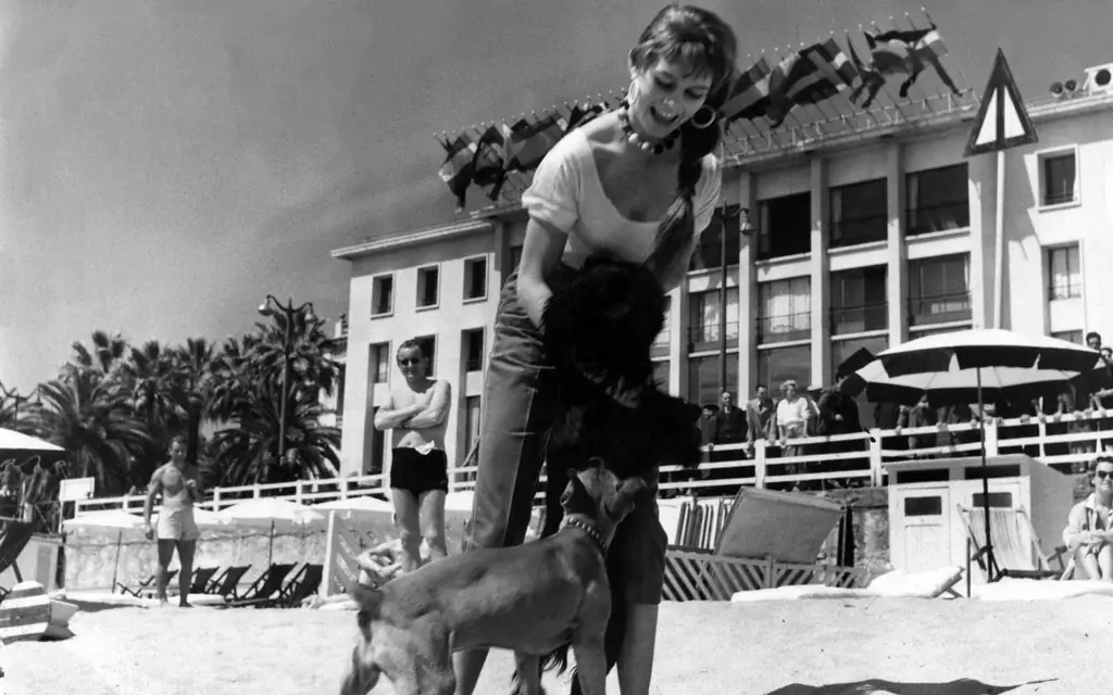Brigitte-Бардо-собака-1955-VINTAGECANNES0517