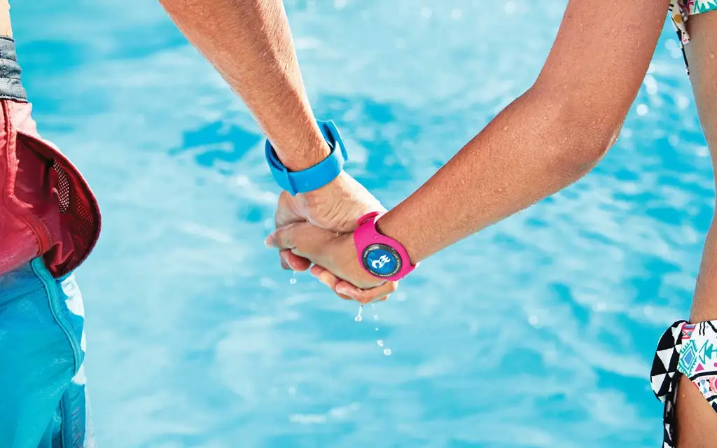 принцесса круиз-океан-медальон-ленточно-12-WHYCRUISE0118