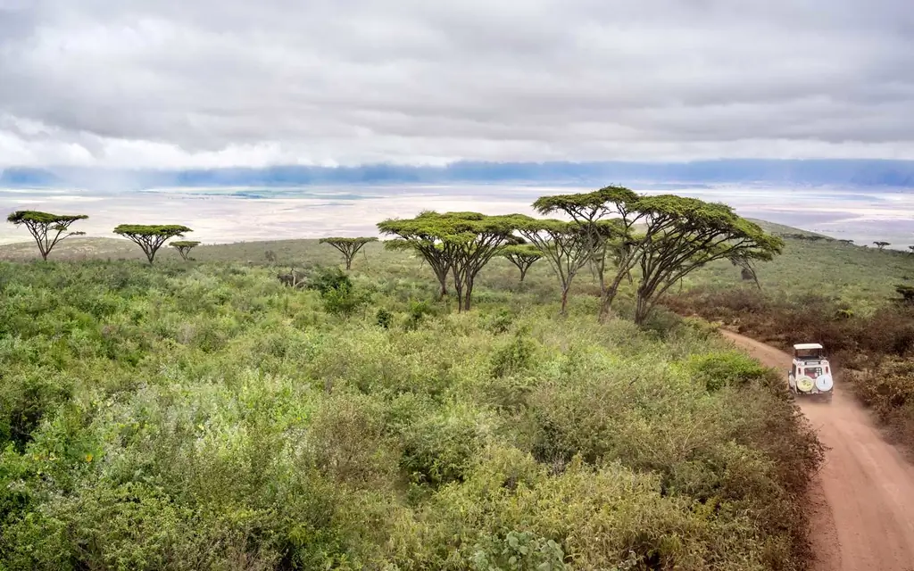 танзания-с-Silversea-кутюр-коллекция-04-WHYCRUISE0118