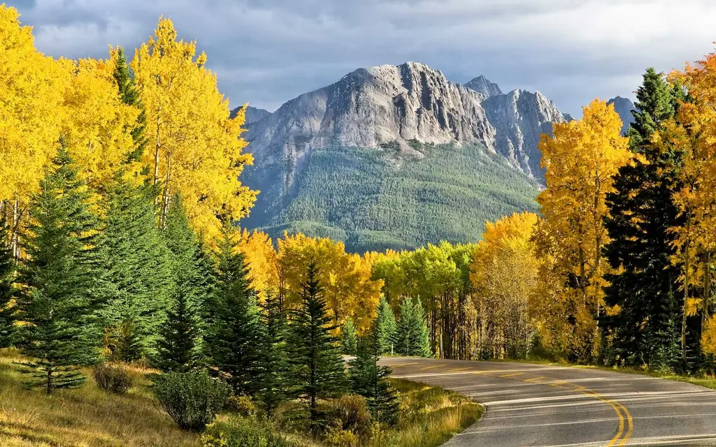 Banff-соотечественник-Парк-Канада-FALLSURPRISE0818
