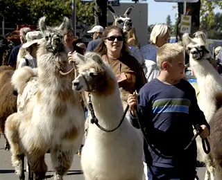 Лучшие осенние фестивали для семей