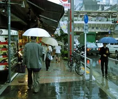 Splashing Pedestrians, Japan