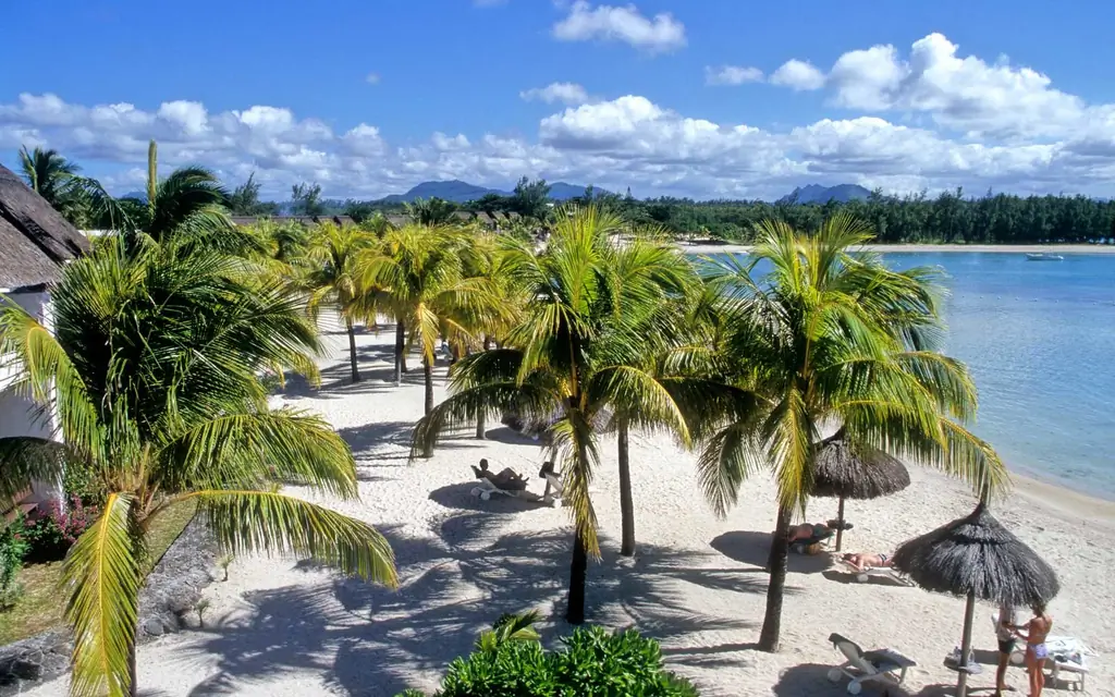 МАВРИКИЙ-африка-HONEY1217