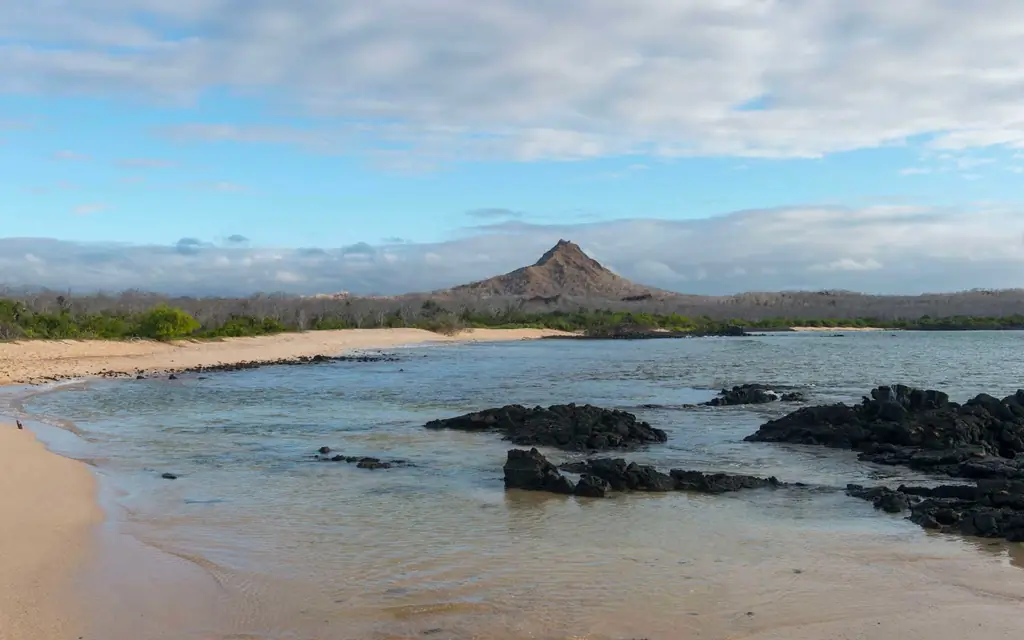 Галапагосские-острова-эквадор-HONEY1217