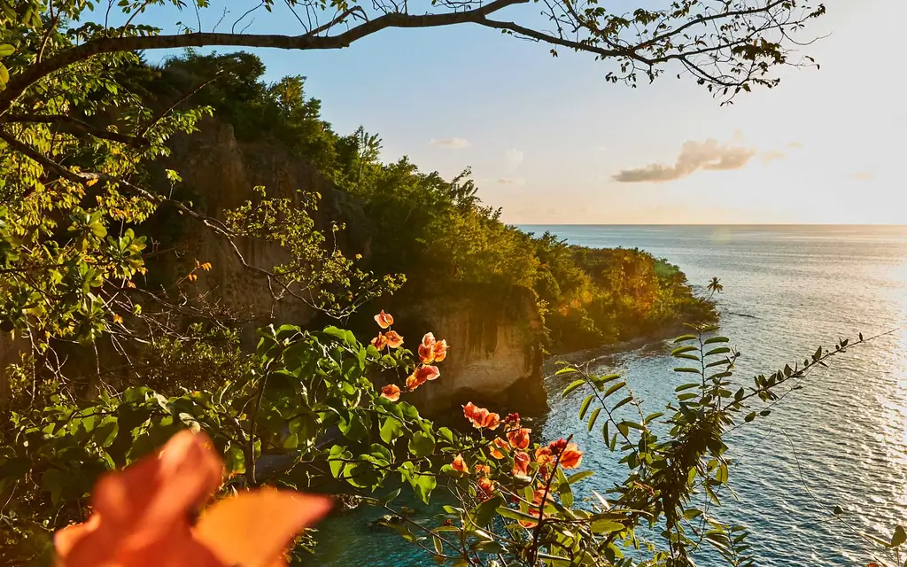 Dominica-карибского-PRETTYISLES0719