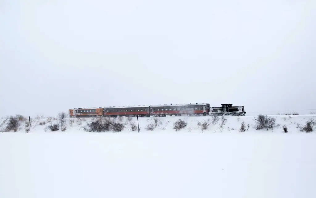 Цугар-РЖД-снежно-STOVETRAIN0119