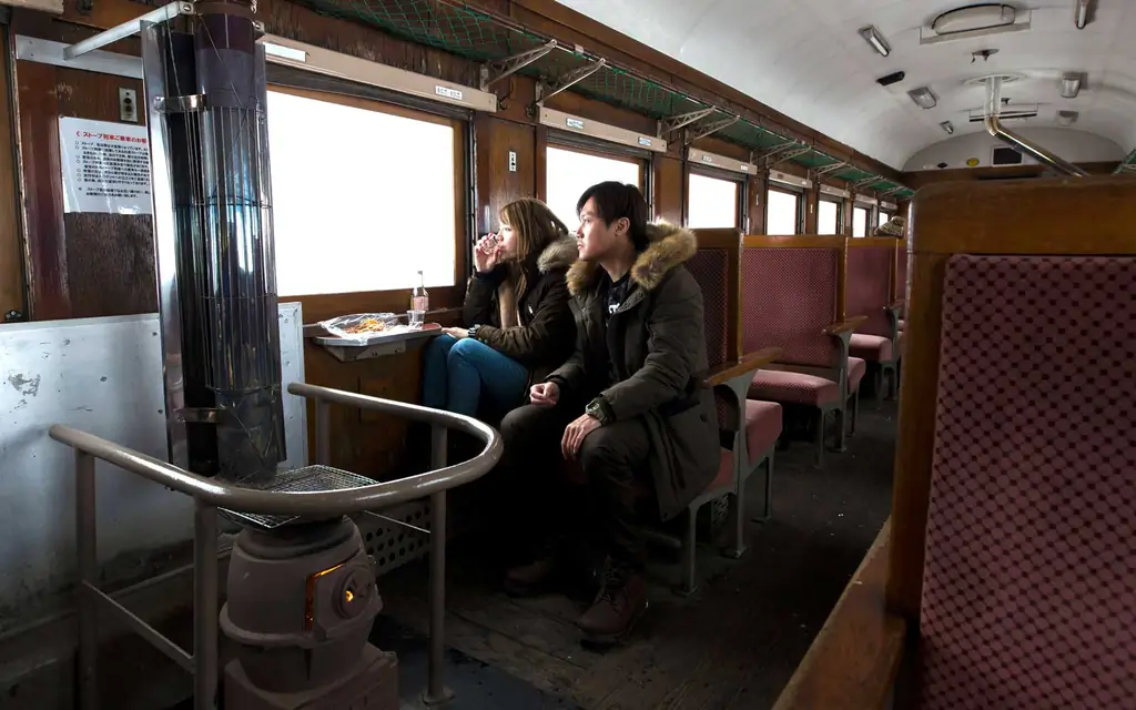 Цугар-Railways-поезд-печь-STOVETRAIN0119