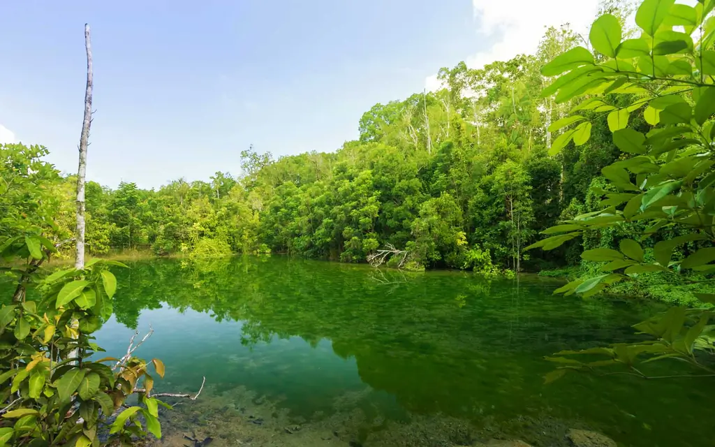 Эти потусторонние природные бассейны в Таиланде всегда ярко-синие и зеленые