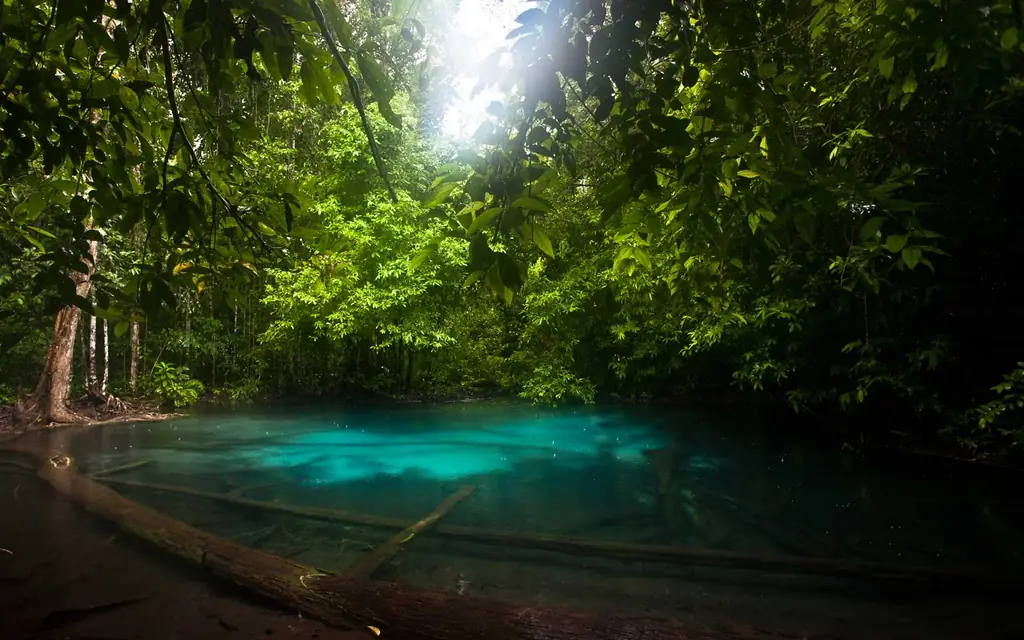 Изумруд-бассейны-Краби-Таиланд-EMRDTHAI0218