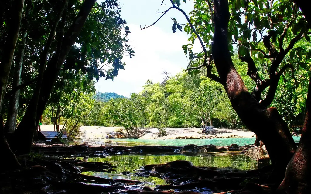 Изумрудный бассейн-Краби-Таиланд-EMRDTHAI0218