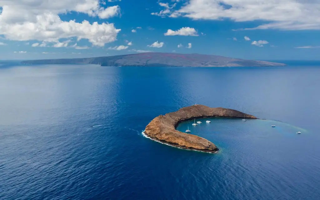 Молокини-мауи-MAUI0919