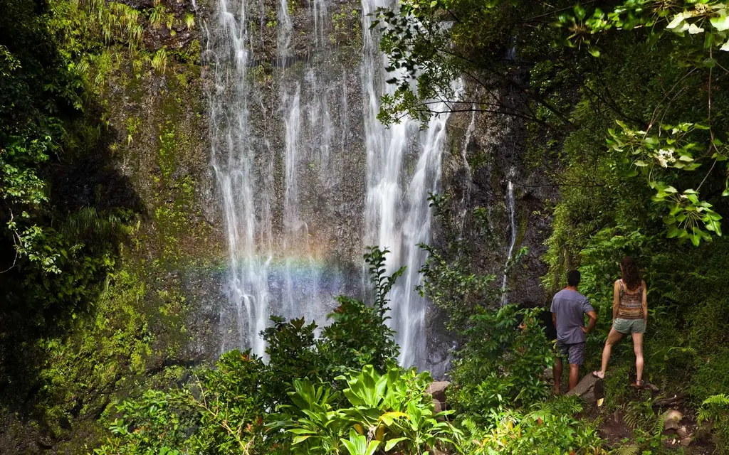 Wailua-падает-Hana-Maui-MAUI0919