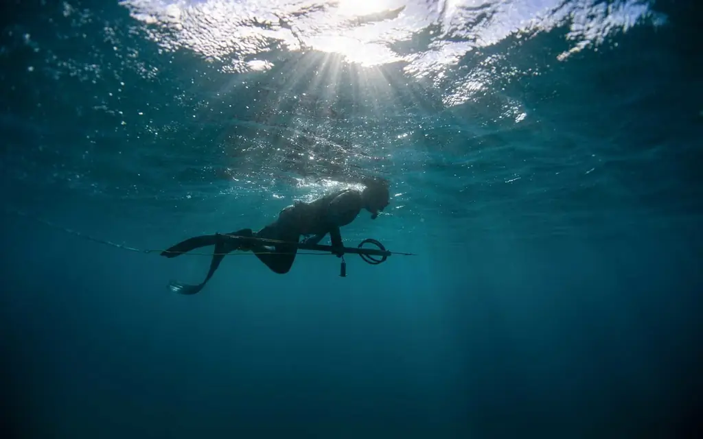 северо-мауи-spearfisherman-MAUI0919