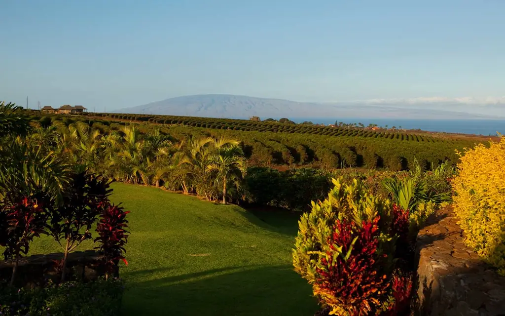 Kaanapali-мауи-MAUI0919