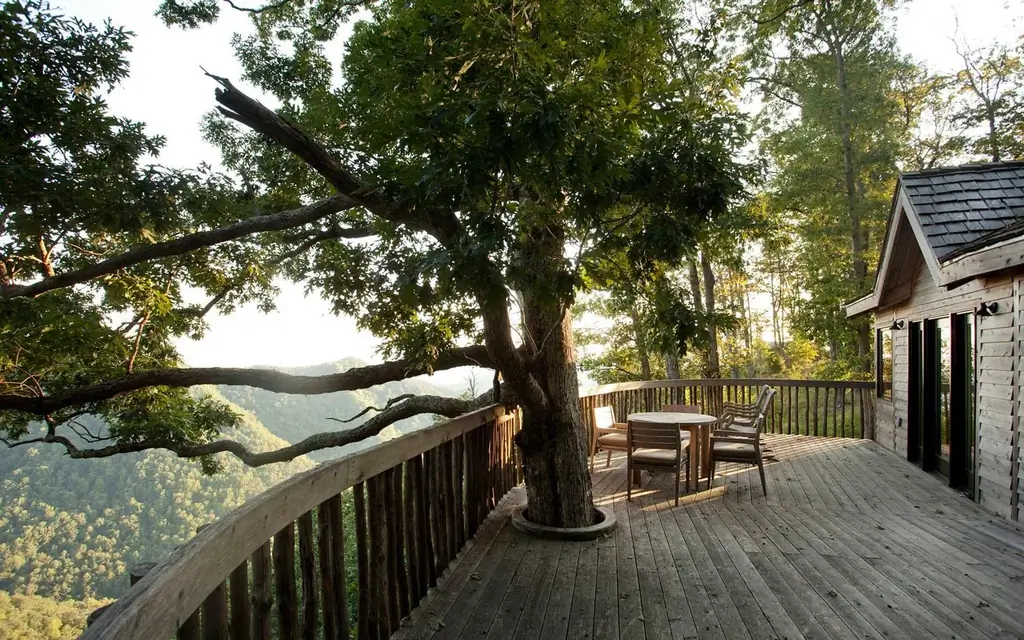 Treehouse-primland-CAMPLUX0718
