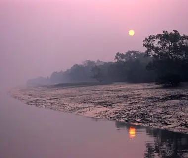 Sundarbans Mangroves