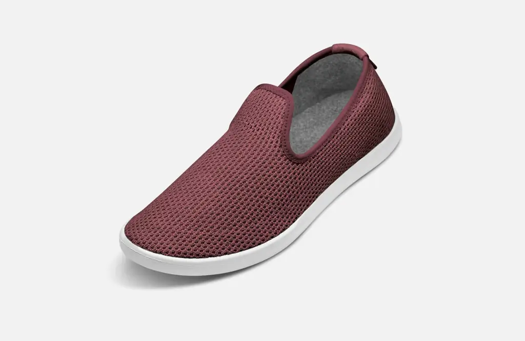 Allbirds Tree Loungers