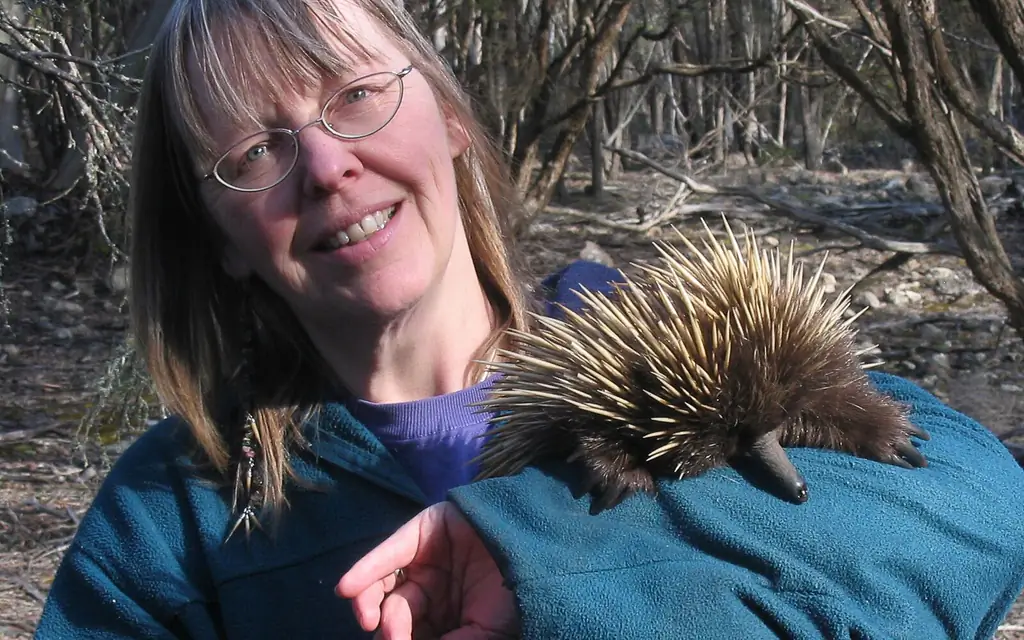 Пегги-rismiller-исследователь-SOUTHAUS0519