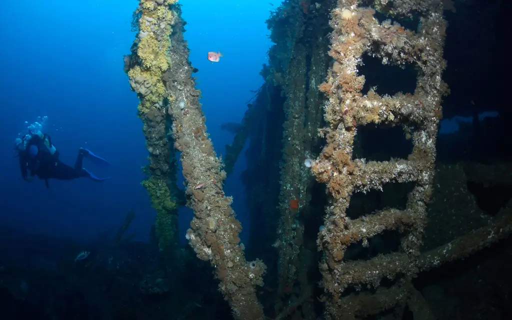 сс-норд-Тасмании-SHIPWRECKS0519