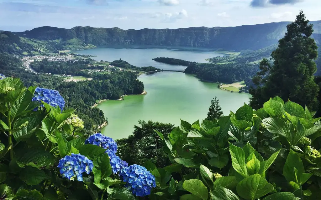 Почему этот маленький остров посреди Атлантики имеет самые красивые гортензии в мире