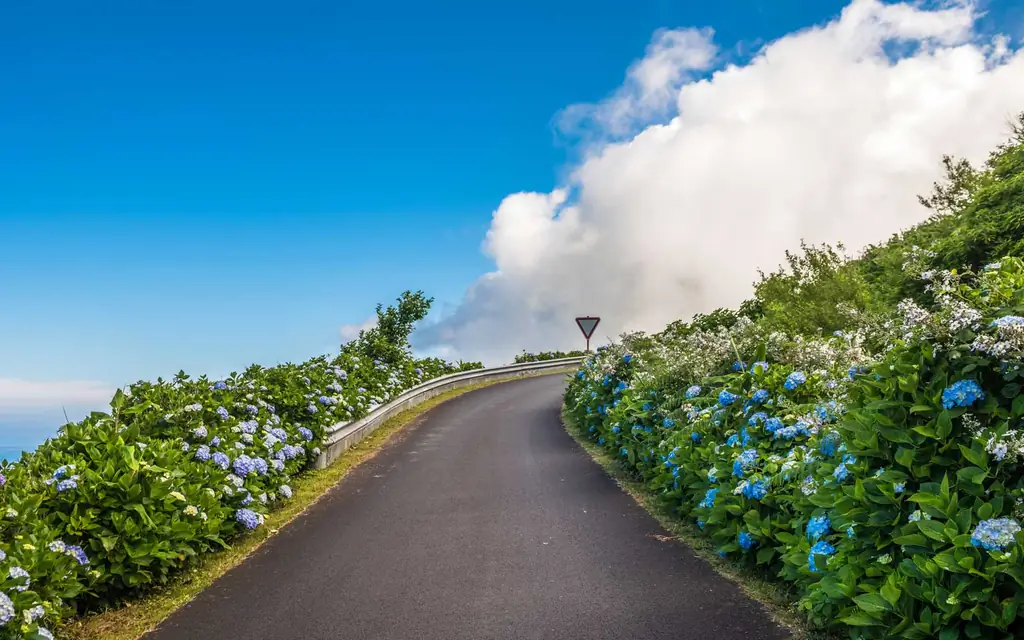 Флорес-Айленд-Азорские-Португалия-AZORHY0419