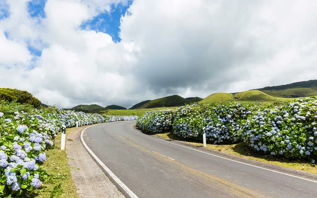 Терсейра-Айленд-Азорские-Португалия-AZORHY0419