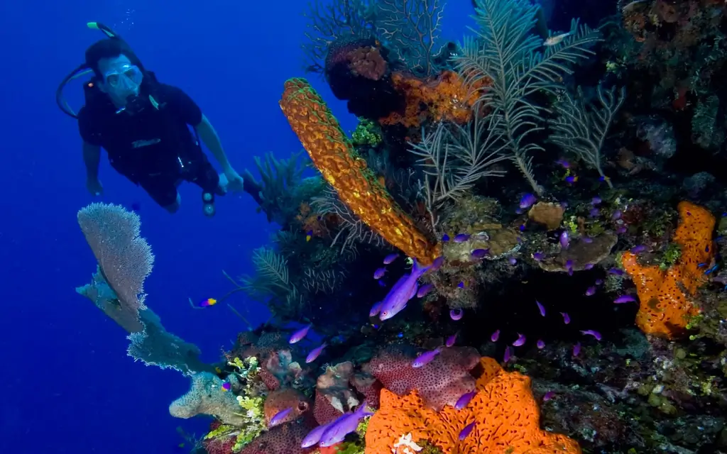 Belize