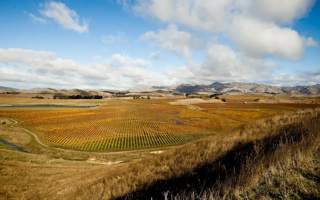 New Zealand