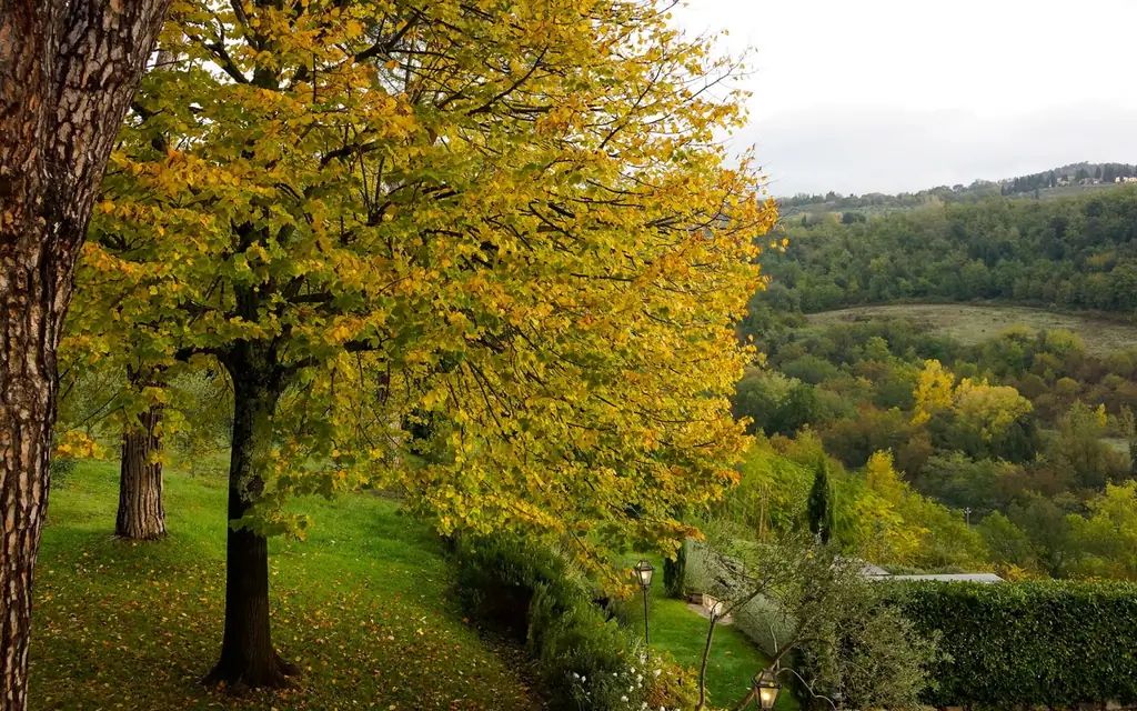 Tuscany