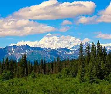 Denali National Park and Beyond, Alaska and Canada