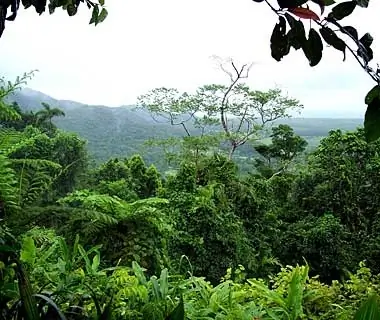 Daintree National Park, Australia