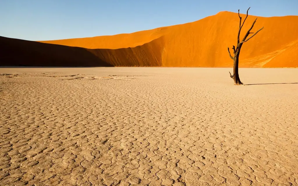 deadvlei-намибия-африка-MONDAY0617