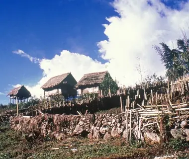 huts in the country side in India