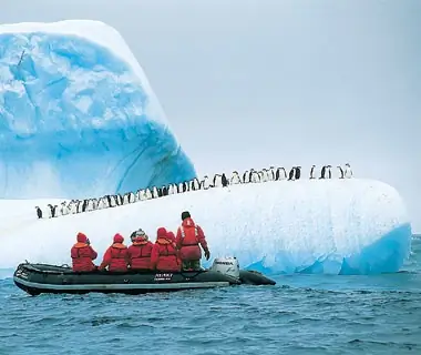 penguins on an iceberg in Antarctica