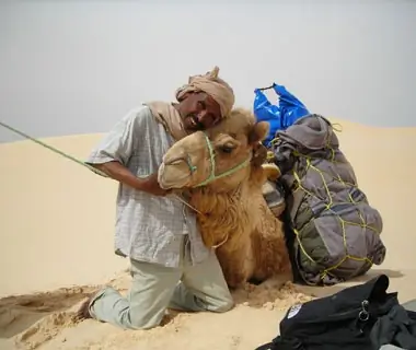 camel in the sands of the Sahara desert