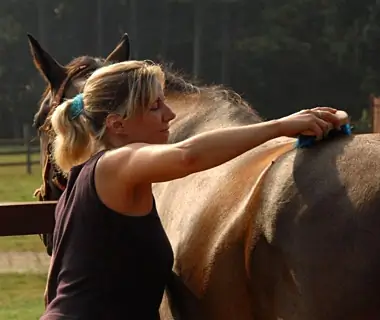 woman grooming a horse in Southern Cross Ranch, Madison, GA