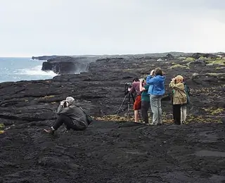 U. S. & Canada: Hawaii with Field Guides