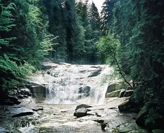 Europe: Czech Republic with Earthwatch