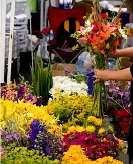 Fancy Flower Shops