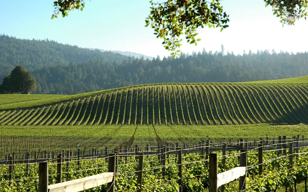 Northern California