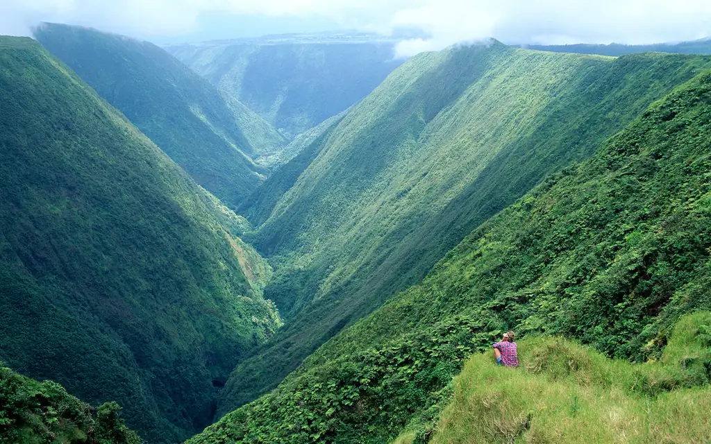 Waipio-PROPOSE0216